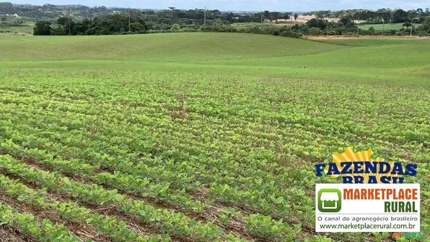 Terreno para Loteamento na Fazenda Rio Grande, 89.514m²