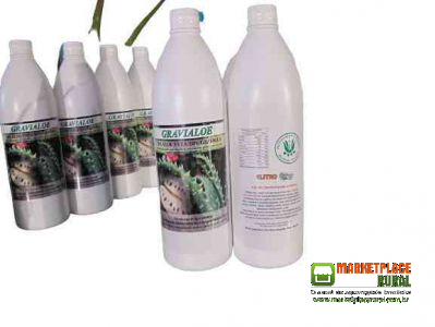 Aloe Vera + Graviola 20% Pura Orgânica Do Produtor 1 Litro