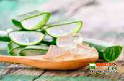 Aloe Vera + Graviola 20% Pura Orgânica Do Produtor 1 Litro