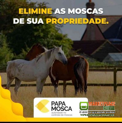 Papa Mosca