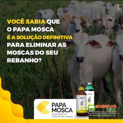 Papa Mosca