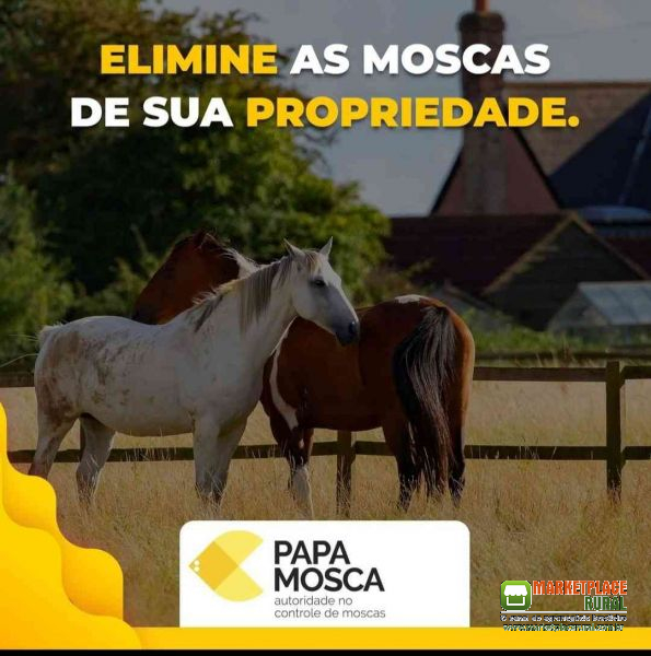 Papa Mosca