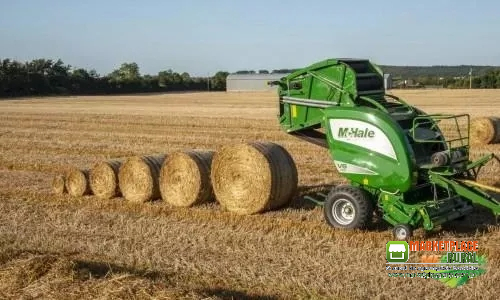 Pré-secado e feno para nutrição animal.