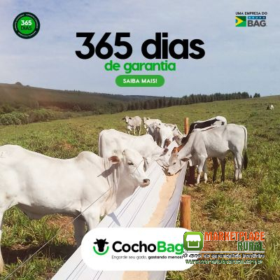 COCHOBAG - ENGORDE SEU GADO GASTANDO MENOS