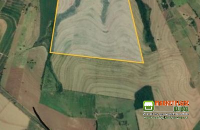Venda De Área De Cana No Município De Tapejara Pr