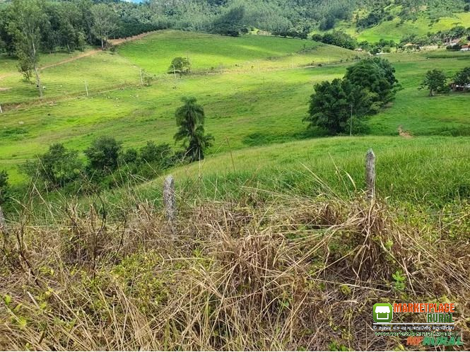 Fazenda em Santa Rita do Sapucaí, MG
