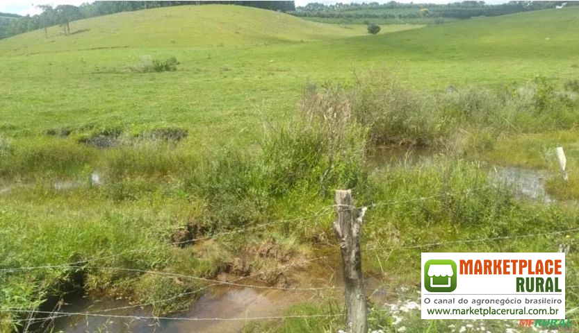 Fazenda em Cambuí, MG