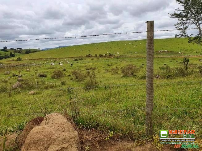 Fazenda Sul de Minas Gerais, MG
