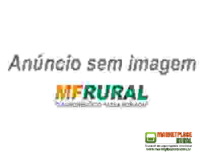 SEMENTES DE CAPIM GORDURA