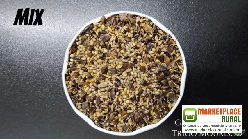 MIX CAPIM SUDÃO + MILHETO + TRIGO MOURISCO