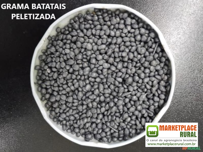 SEMENTE DE GRAMA BATATAIS OU BAHIA - DIRETO DO PRODUTOR - SEMENTE PELETIZADA