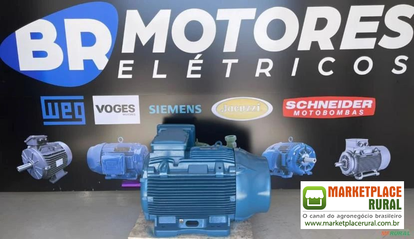 Motor WEG W22 250cv 4 pólos 1750rpm 380/660v