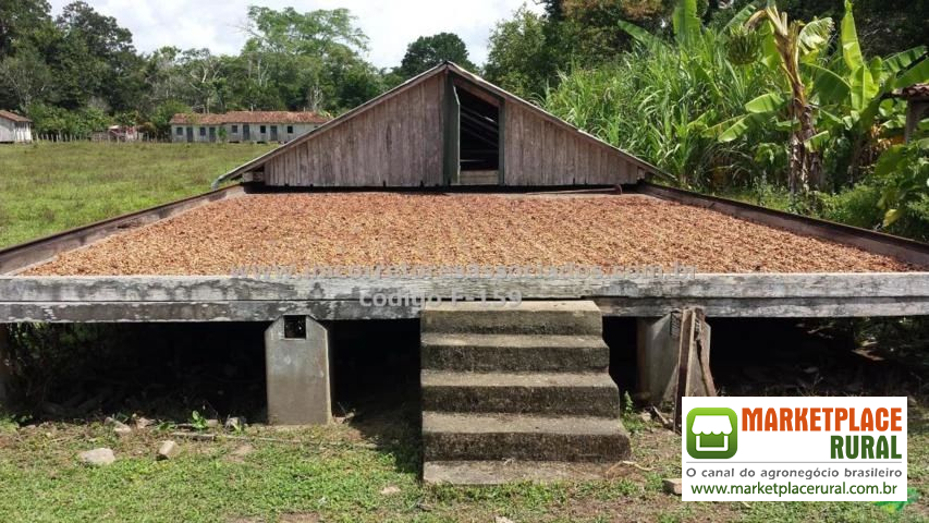 Fazenda Gado e Cacau