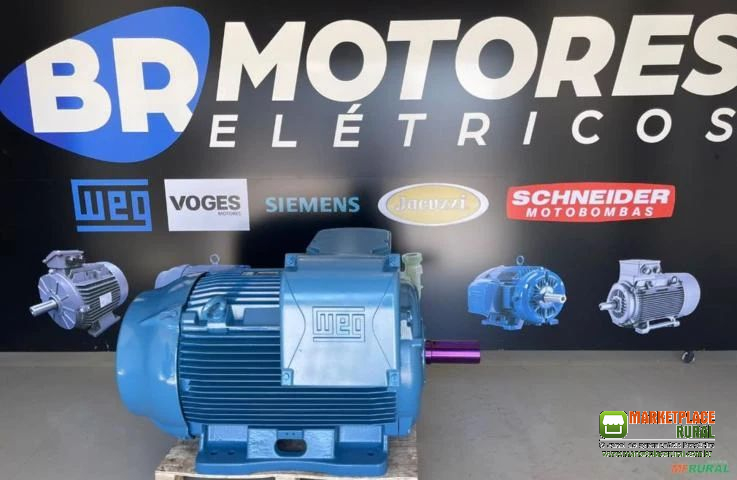 Motor WEG W22 300cv 4 Pólos 1750rpm 380/660v Recondicionados