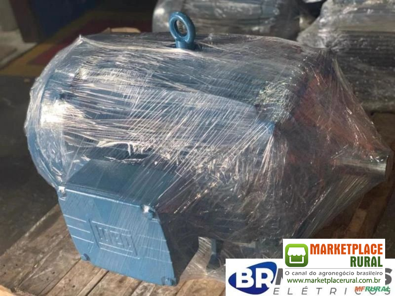 Motor WEG W21 125cv 2 pólos 3500rpm 220/380/440v Recondicionados