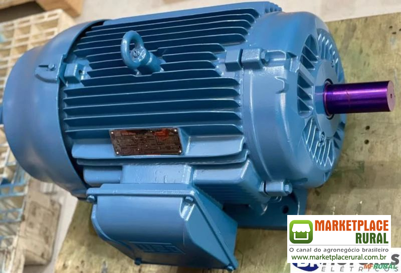 Motor WEG W21 30cv 8 pólos 380/660v Recondicionados