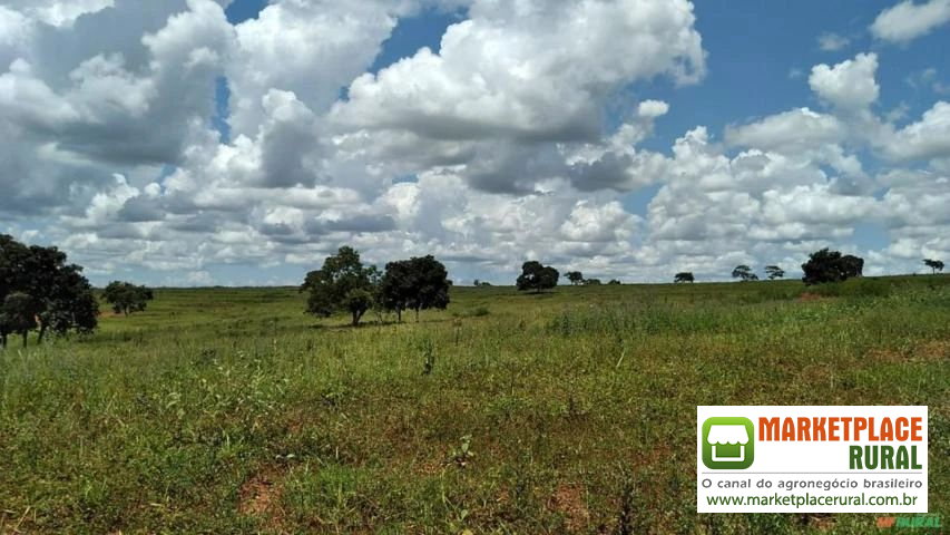 Fazenda em campina verde mg 02