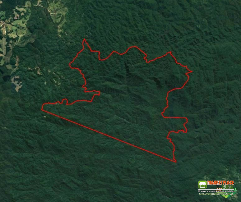Reserva Legal - São Paulo - Mata Atlântica