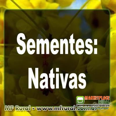 Sementes de Árvores Nativas