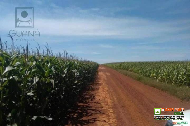 FAZENDA EM BRASNORTE MT 36000 HA, 8.000 DE LAVOURA