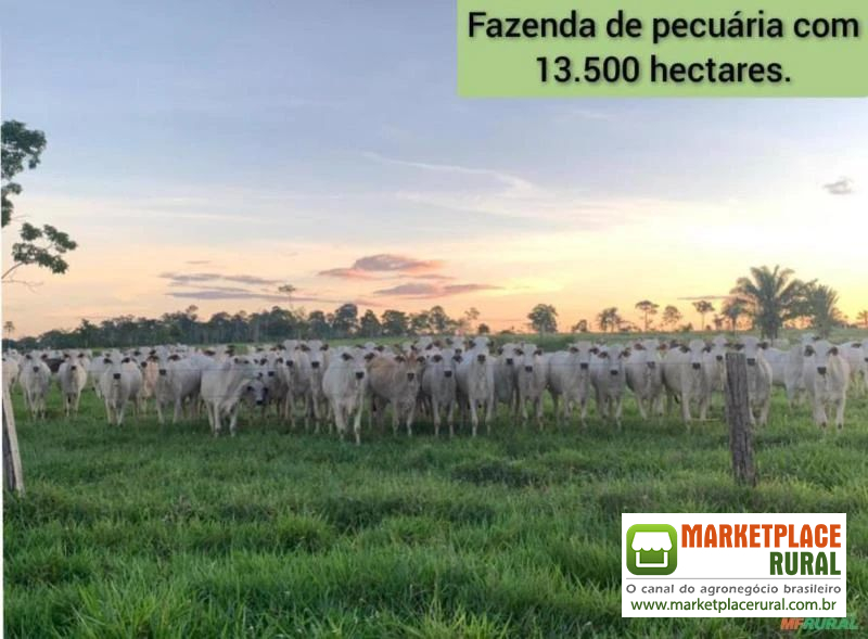 FAZENDA DUPLA APTIDÃO EM VILA BELA DA SANTÍSSIMA TRINDADE-MT
