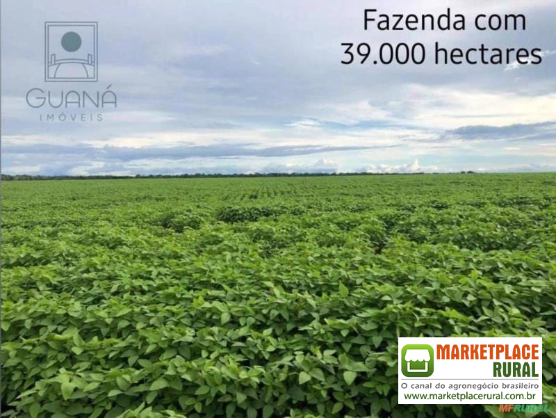 FAZENDA DUPLA APTIDÃO, 39.000 HECTARES NO MUNICÍPIO DE CONFRESA-MT