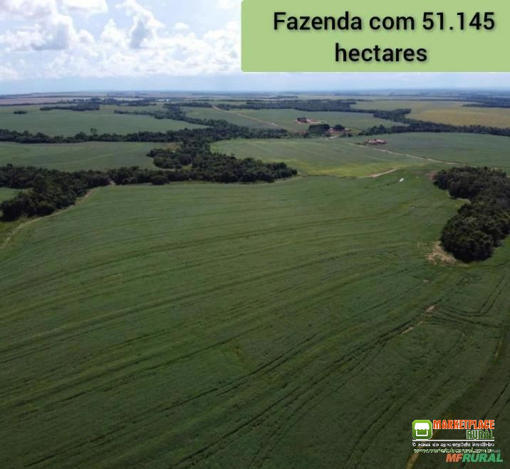 FAZENDA DUPLA APTIDÃO EM DIAMANTINO-MT