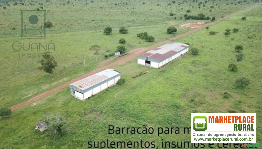 FAZENDA DUPLA APTIDÃO , 93.290 HECTARES EM SÃO FÉLIX DO ARAGUAIA-MT