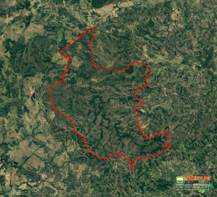 Compensação Ambiental - Goiás - Cerrado