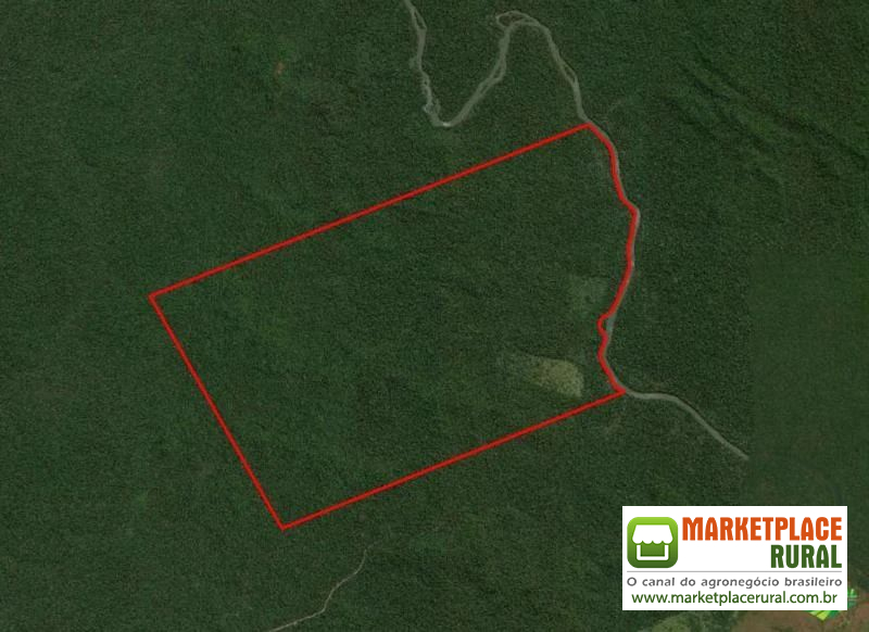 Reserva Legal Mato Grosso - Amazônia