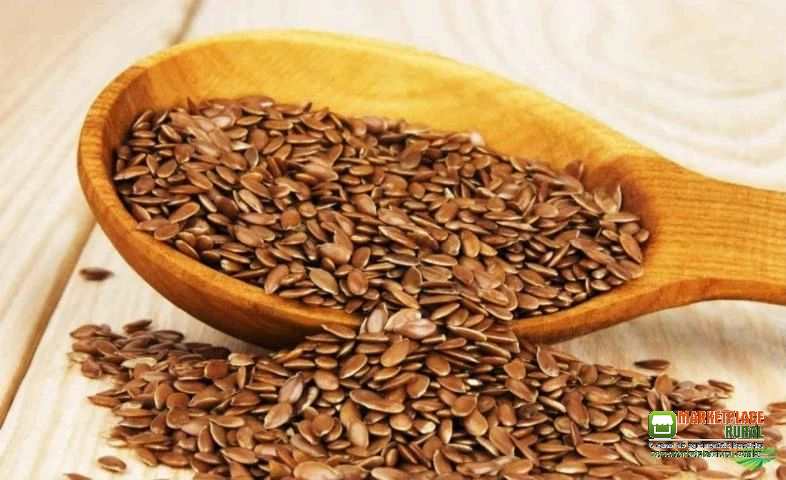 Alimentação Aninal - Produtos Desidratados