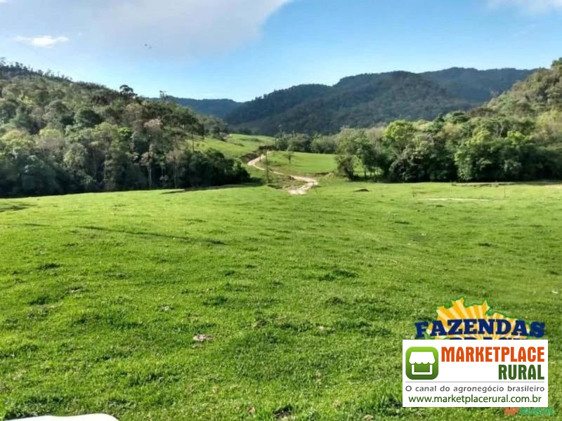 Fazenda na região de Rio do Campo- SC com área de 560 hectares é na Fazendas Brasil!!