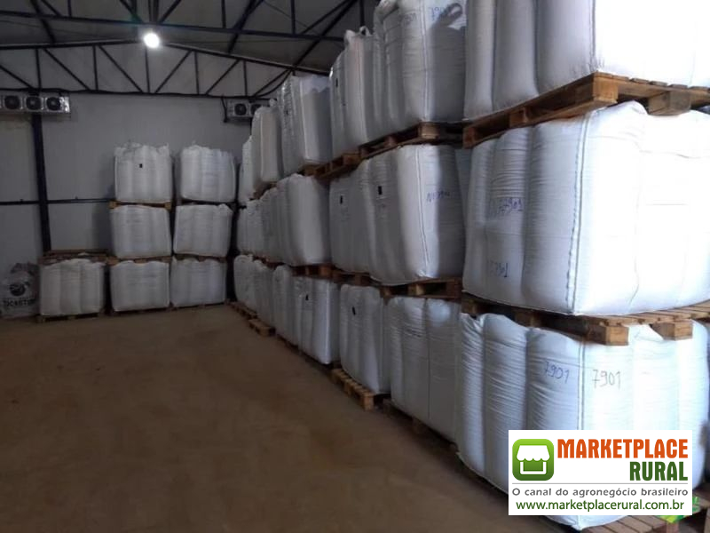 Big bag sementes em geral