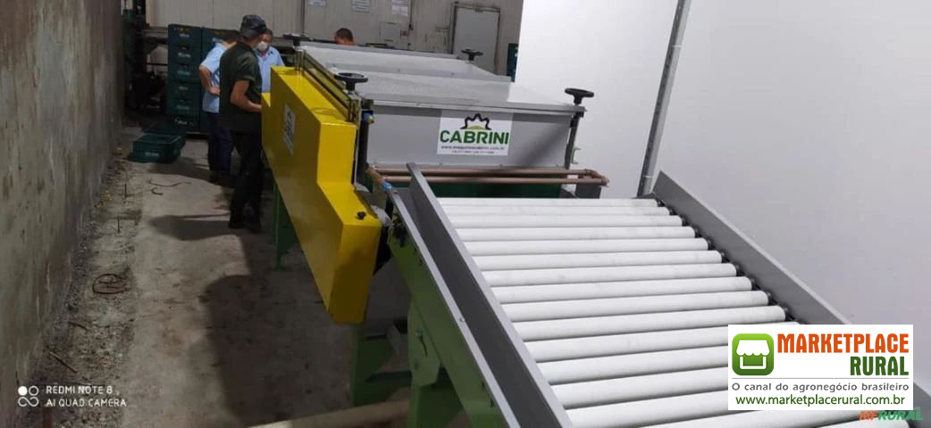 MÁQUINA PARA BENEFICIAMENTO E CLASSIFICAÇÃO DE PIMENTÃO