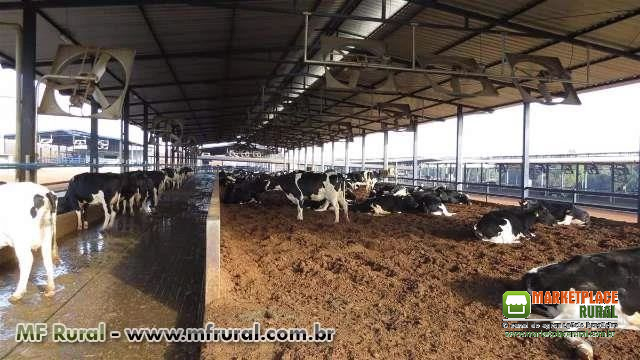 ESTRUTURAS COMPLETAS PARA COMPOST BARN.