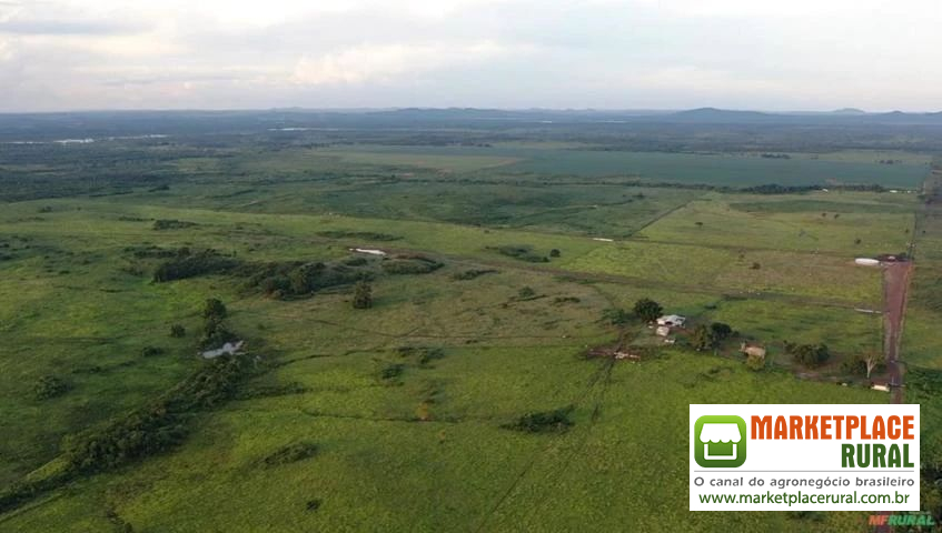 Fazenda a venda Dupla Aptidão - 252 Alqueires
