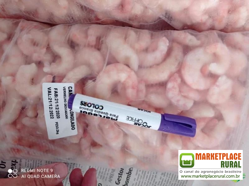 Seja Revendedor Distribuidor de Camarão e frutos do mar!! Camarão salmao frutos do mar