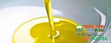 OLEO DE SOJA DEGOMADO