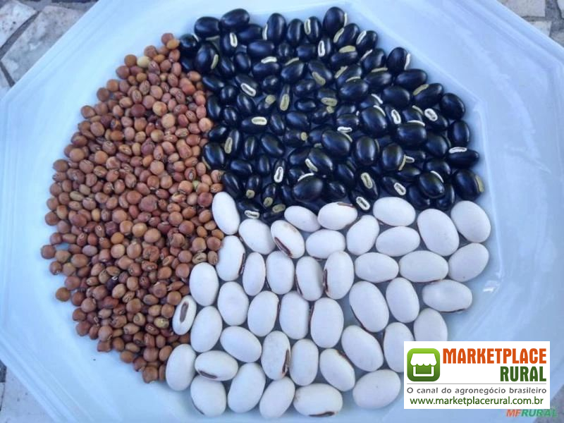 Kit Mucuna/feijão de porco/guandu
