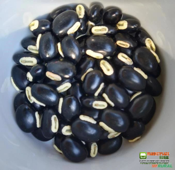 Mucuna Preta