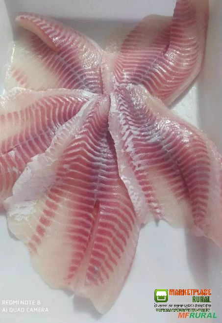 File de Tilapia