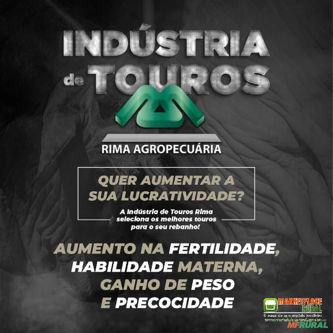 Industria de Touros Rima