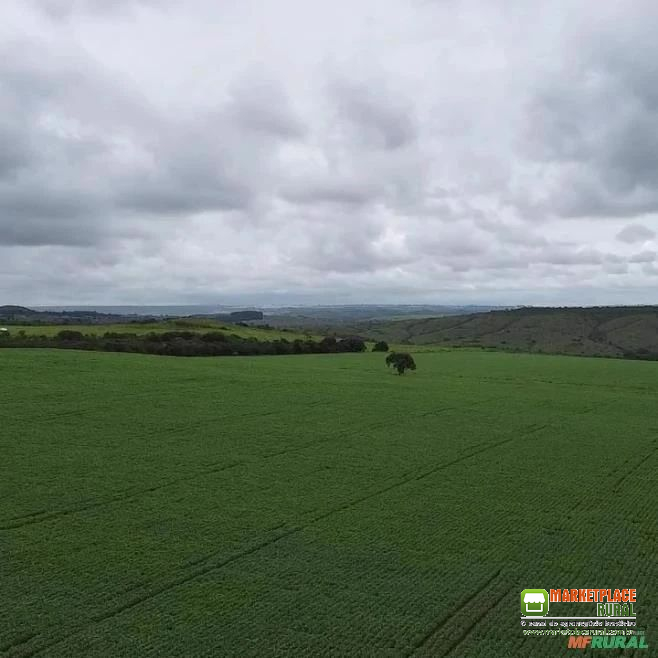 Fazenda de agricultura e pecuária