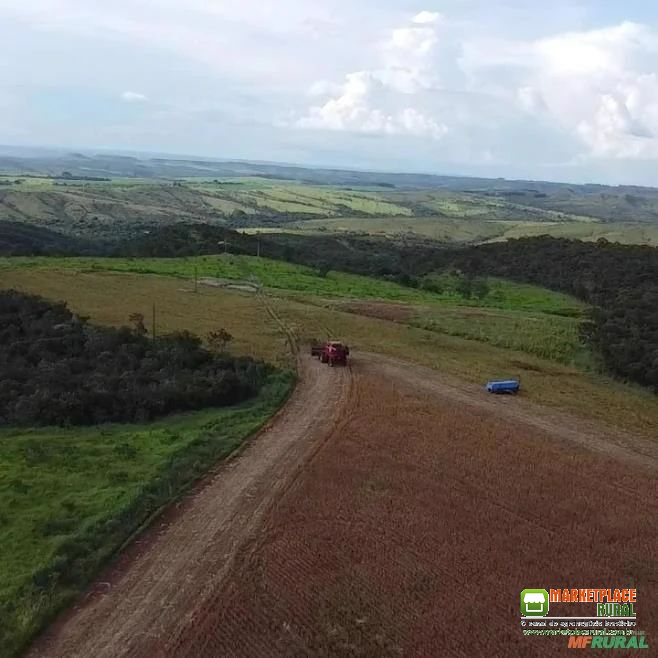 Fazenda no DF (Beira da BR 251)