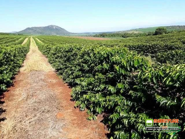 Fazenda em Lassans/MG