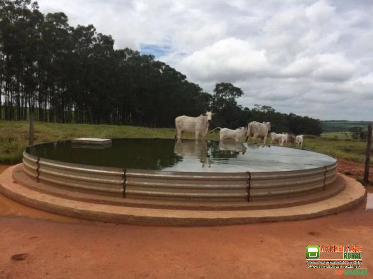 BEBEDOURO AUSTRALIANO GALVANIZADO