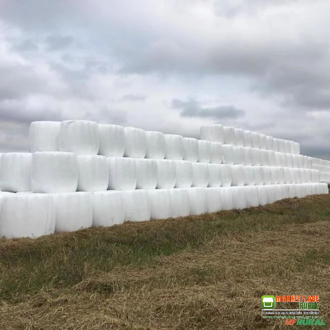 PRÉ SECADO TIFTON EM BOLAS DE 420 A 480 KGS