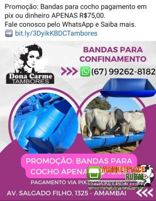 BANDAS NA PROMOÇÃO