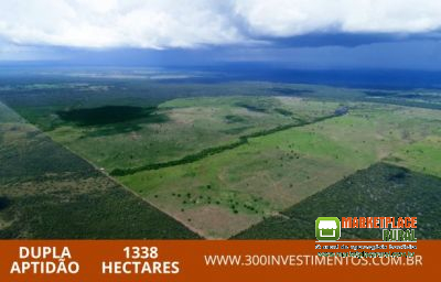 Fazenda São Domingos (Tocantins)