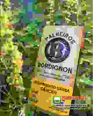 Palheiros Bordignon